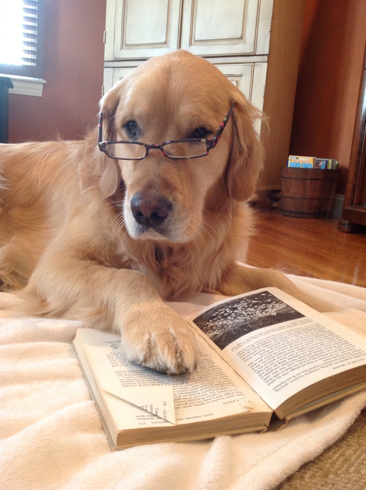 Ảnh kỷ niệm 5